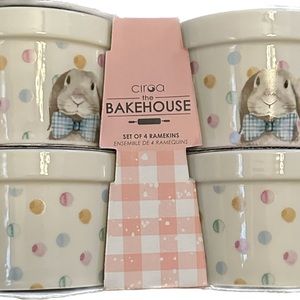 Baker house set of 4 ramekins NWT